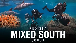 RED SEA 2022 | Mix South Trip Scuba Diving Liveaboard in Egypt