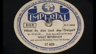 Hörst du das Lied der Geige | Willy Behrendt mit seinem Hawaiian-Tanz-Orchester