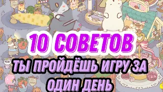 10 советов кошки и суп/как быстро прокачать аккаунт кошки и суп/как быстро пройти игру кошки и суп