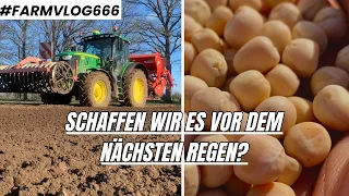 Die Erbsen sind im Boden! Blütenbehandlung im Raps FARMVLOG 66 (6)