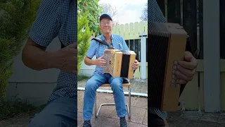 Irish Jig: A VISIT TO IRELAND on button accordion