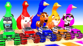 5 Giant Duck, Monkey, Piglet, chicken, lion, dog, cat, cow, Sheep, Transfiguration funny animal 2024