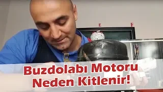 Buzdolabınız Soğutma Yapmıyorsa Bunun Bir Nedeni de Bu Olabilir! Buzdolabı Motoru Neden Kitlenir?