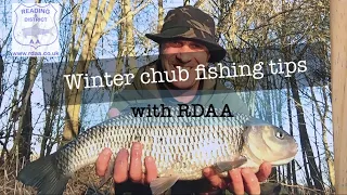 Winter chub fishing tips with RDAA