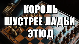 Шахматный этюд 1947 год, издание Шахматы в СССР. Король шустрее ладьи. Избранные шахматные этюды