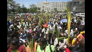 24-03-2024 | CAPUCHIN TV LIVE | PALM SUNDAY OF THE LORD’S PASSION | HOLY FAMILY BASILICA , NAIROBI