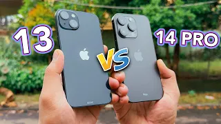 iPhone 14 Pro vs iPhone 13 Mana Lebih Layak Beli ? Camera Jauh Beda !!!