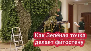 Как делают фитостену из искусственных растений