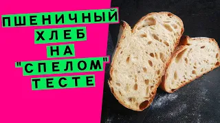 Хлеб😎  на спелом тесте 🍎: два варианта приготовления! (печём хлеб, как в древности😲  🏛)