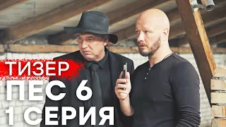 🔥 Сериал ПЕС 6 - 1 серия - ТИЗЕР - НОВИНКА 2020 | Сериалы ICTV