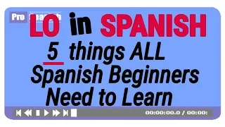 Learn Spanish:  LO  in Spanish - 5 Things Beginners Must learn