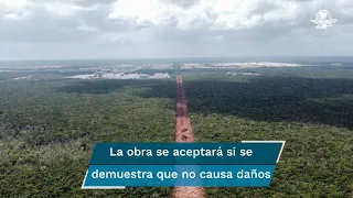 Senadores exigen que gobierno muestre estudios de impacto ambiental por el Tren Maya