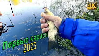 Первые караси 2023 года. Рыбалка на поплавок