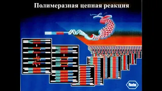 Ю.М.Романова "Полимеразная цепная реакция в диагностике возбудителей инфекционных заболеваний"