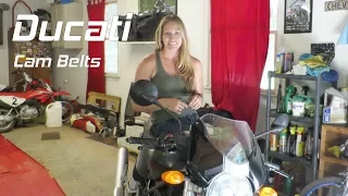 How to Change Ducati Cam Belts | Back in the Garage | Ducati Monster