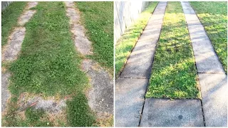 UGLY yard made PRISTINE! Lawn edging, mowing, pressure washing