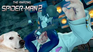 Чем выше поднимаешься, тем больнее падать ~ The Amazing Spider-Man 2 #7