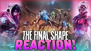 NEW SUBCLASS AND ENEMY RACE REACTION! | Destiny 2 The Final Shape