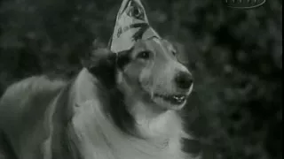 Lassie  S02e24  The Raft