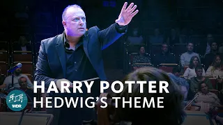 John Williams - Hedwig's Theme (Harry Potter) | WDR Funkhausorchester