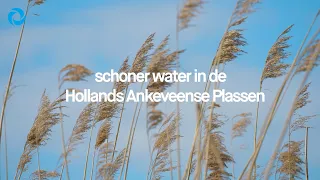 Schoner water in de Hollands Ankeveense Plassen