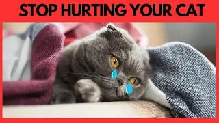 Stop doing this! How you unknowingly hurt your Cat | 15 Things you do that hurt your cat