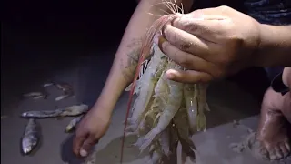 PESCARIA DE CAMARÃO BRANCO NA PRAIA DE RAPOSA.