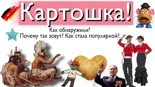 Картошка! В какой именно стране нашли и как завезли!