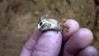 Серебряный перстень SIGE ODER TOD с немецких позиций ПМВ / Silver ring from German positions WW1