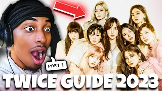 A Helpful Guide To Twice Reaction (2023)