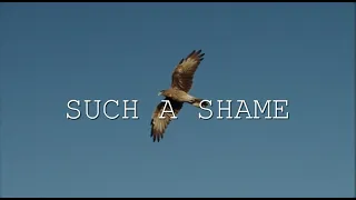 Sandra - Such A Shame (NG Remix)