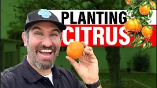 Successfully Planting Citrus Trees! 🌳 Everything You Need to Know to Plant Citrus