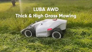 LUBA AWD Thick & High Grass Mowing