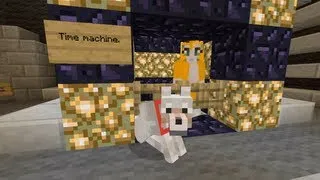 Minecraft Xbox - Cat To The Future [100]