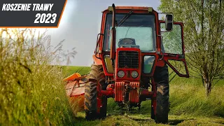 Grass Mowing 2023 With MTZ | First Cut In Poland | GR Kasprzyk |