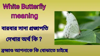 What does it mean when you see a white butterfly ? (Bengali)