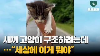 아기 고양이 구조하려는데 "오 마이 가쉬!"