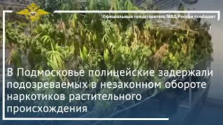 Ирина Волк:  Подмосковье полицейские задержали подозреваемых в незаконном обороте наркотиков