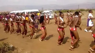 Swazi tribe İzintombi zomhlanga video at Swaziland