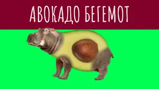 АВОКАДО БЕГЕМОТ/AVOCADO HIPPO 🥑🦛