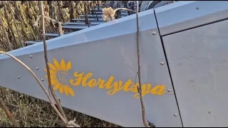 Вперше на екрані нова жатка "Горлиця", або як збирають соняшник на заході України