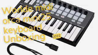 Worlde midi orca mini25 keyboard unboxing 2022 Low budget Music piano keyboard￼￼