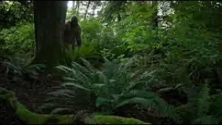 BIGFOOT DOCUMENTARY!! - A Search For The Most Elusive Creature On Earth!!