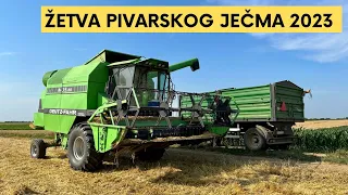 Žetva pivarskog ječma 2023 | Loša godina loša cijena |