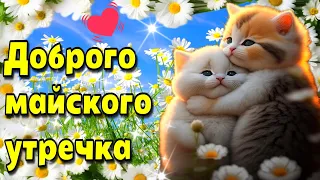 🌼☕🌞Самого доброго весеннего утра!💗Благословенного дня!💗Красивая музыкальная открытка🌼