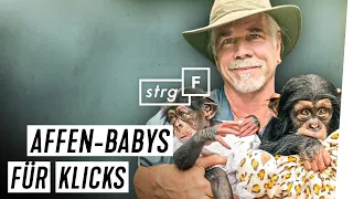 Doc Antle & Co: die irre Welt der Affen-Fotos | STRG_F