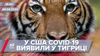 Підсумковий випуск новин за 18:00: COVID-19 виявили у тигриці