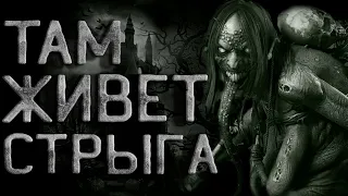 Страшные истории на ночь. Тайна забытого замка. Криповые истории. Ужасы. Creepypasta.