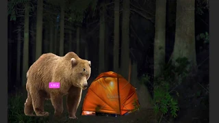 bear attacks person in tent (he TRIED to run)