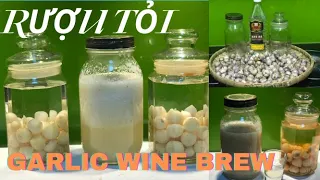 Rượu Ngâm Tỏi| Công dụng và Cách Ngâm Rượu Tỏi| Garlic Wine| Recipe and method